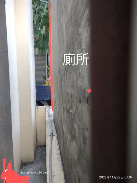 廁所可以放花嗎